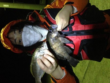 24cm~26cmのアジがHIT！！